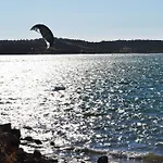 Ria Alvor